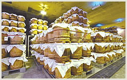 大高酵素の製造の様子を銀座で紹介