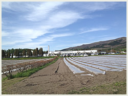 大高酵素の工場探訪