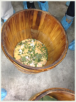 大高酵素の工場探訪