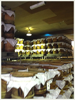 大高酵素の工場探訪