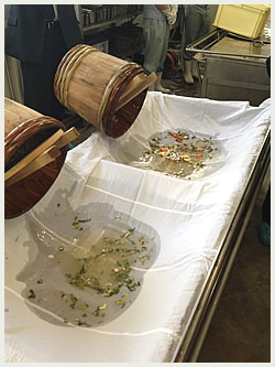 大高酵素の工場探訪