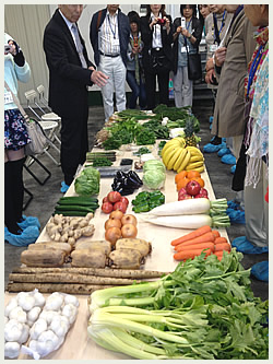 大高酵素の工場探訪