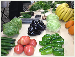 大高酵素の工場探訪