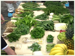 大高酵素の工場探訪